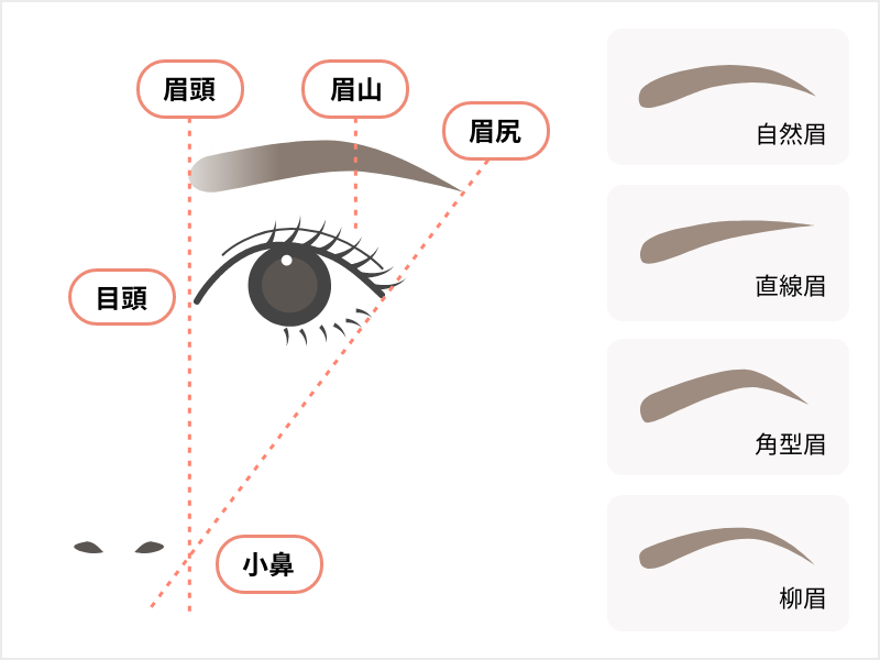 理想の眉のバランス_眉毛のアートメイクについて