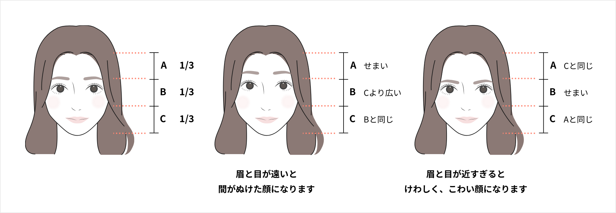 理想の顔全体のバランス_眉毛のアートメイクについて