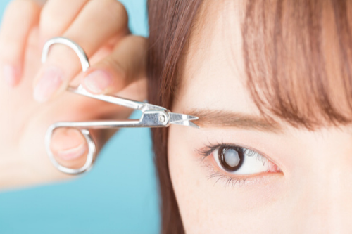 ライカ様　写真 (84)