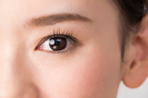 ライカ様　写真 (33)