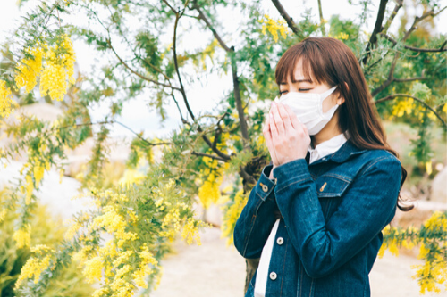 ライカ様　写真 (10)