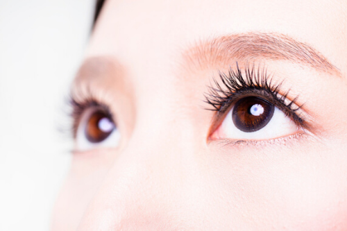 ライカ様　写真 (4)