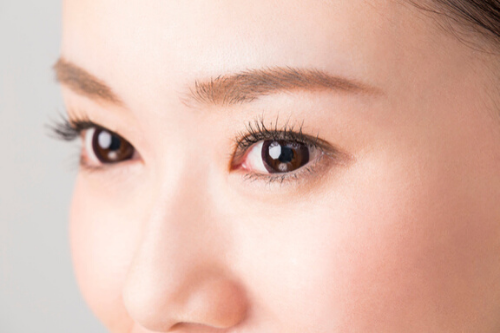 ライカ様　写真 (66)